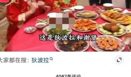 过年网友爆料视频大全集,过年视频大全集，精彩瞬间一网打尽！