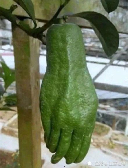 娱乐吃瓜大瓜,独家揭秘明星们的幕后故事